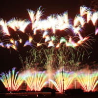 2014年8月23日　藤岡市制施行60周年記念花火大会