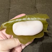 柏餅