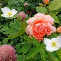 忘れてました～