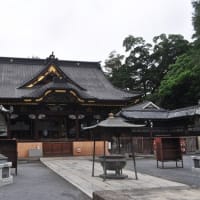 墓参へ