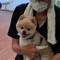 初！ドッグラン🐕🐕
