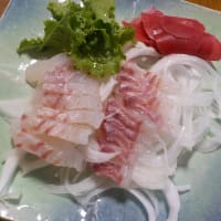 日本海の鯛を食べつくす