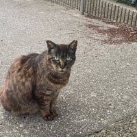 トータル