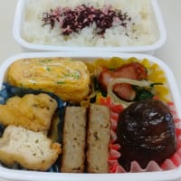 2025.6.4(水)5(木)のお弁当と大豆製品