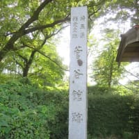 【続百名城】菅谷館