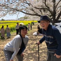 お花見