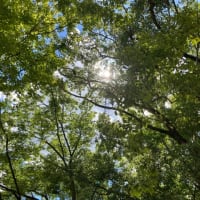 3.11の記憶