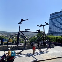 待ち合わせはここ、自転車広場