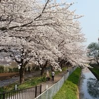 コロナに負けるな
