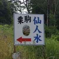 孤独死