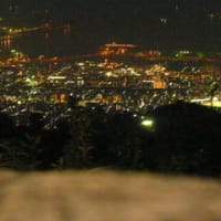 神戸の夜景