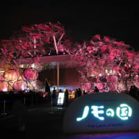 大阪・関西万博情報⑨・・・5/30（土）4回目訪問！「ガンダム＆サウジアラビアレストラン＆花火」