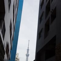 スカイツリー三景