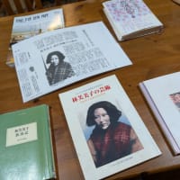 蓮の咲き具合を見に行く