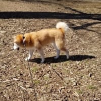 クリンへの想いは尽きなくて・・・327