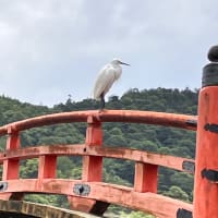 宮島