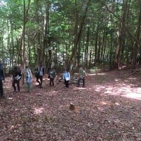 6月、ある休日のあれこれ（3）