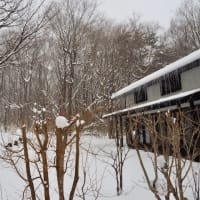 かなしい