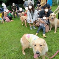 犬舎（ブリーダー）オフ会