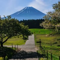 4/26 春の富士山