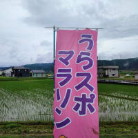 またもや「うらスポマラソン」のコースを走ってきた。