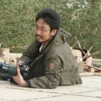 市民が飢えるガザに援助物資を運ぼうとしていたグレタ・トゥンベリさんたちの船がイスラエル軍に拿捕された件で思い出す、イラク戦争に抗議して現地入りした日本人人質に小泉政権が投げかけた「自己責任」論。