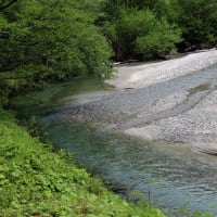 上高地　梓川右岸散策　２