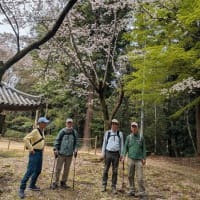 climb116　書写山刀出坂　2025.4.12　「22」