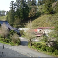 【一関市千厩町】　小梨城跡（洞雲寺）を散策してみました。