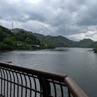 私は緑の党のイベントで、脱原発を実現したドイツの同じく緑の党の方たちや、福島県郡山の前市議の蛇石いく子さんのお話しを聞きました！