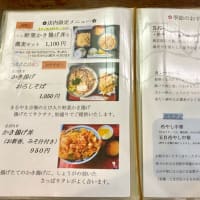 そば処まるやま（梅屋敷）ミニ穴子丼セット•冷そば