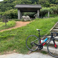 台湾サイクリング