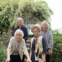 藤の花