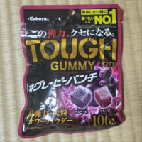 グミ備忘録