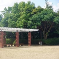 南公園から丸山を見る