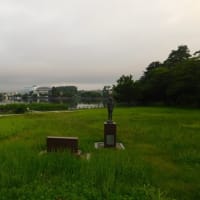 『朝散歩 7/14。』