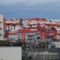 大井北埠頭橋から