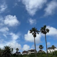 今日も雨上がりの空にうっとり～