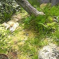 昼寝してました！