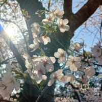 近況をつぶやいてみる。