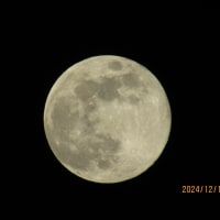 満月の夜。