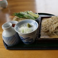 松本市梓川倭の手打蕎麦「シマ」で、野菜天ざるとそば茶ソフトクリームのランチ。