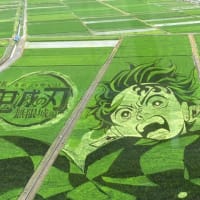 鬼滅の刃の田んぼアート🌾