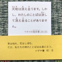 本日もよろしくお願いします
