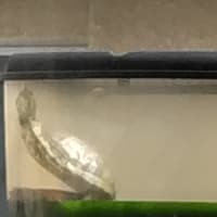 おはようございます