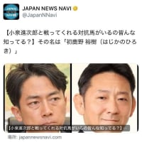 神奈川11区に注目❣️ 【小泉進次郎と戦ってくれる対抗馬がいるの皆んな知ってる？】その名は「初鹿野 裕樹（はじかのひろき）」