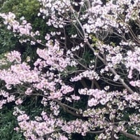 今日から４月