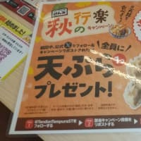 本日のランチは上新電機のDMに同封されていた海老天１尾無料クーポン利用でさん天針中野店へ。