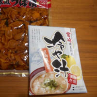 冷や汁を求めて高千穂へ