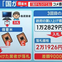 令和のコメ騒動、新農水大臣のお出ましで決着かな・・・・・？